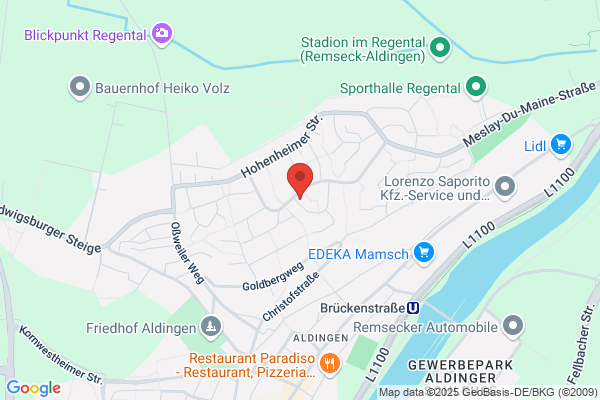 Friedrich Elektronik GmbH