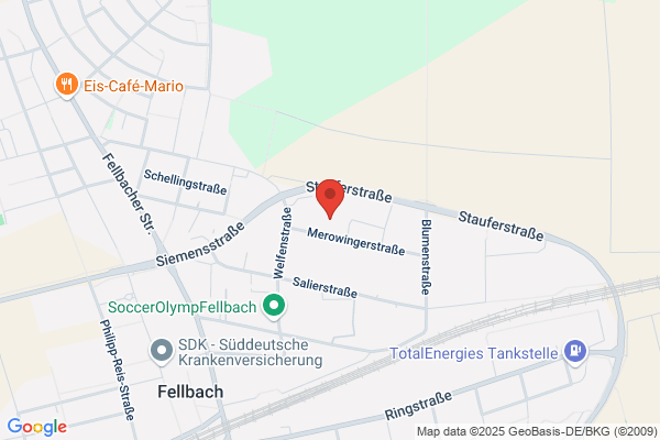 Kaufland Fellbach, Merowingers
