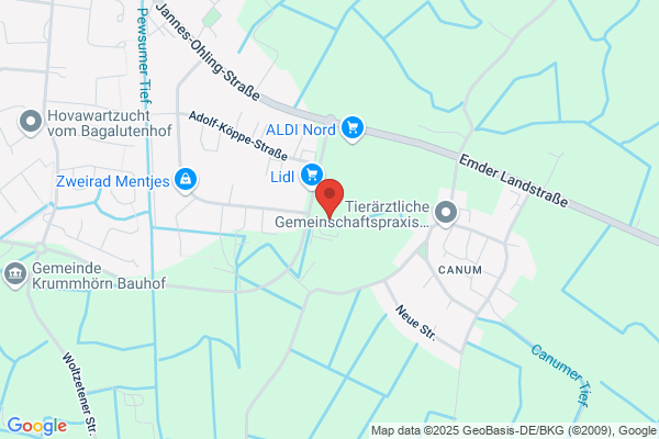 Disco 84