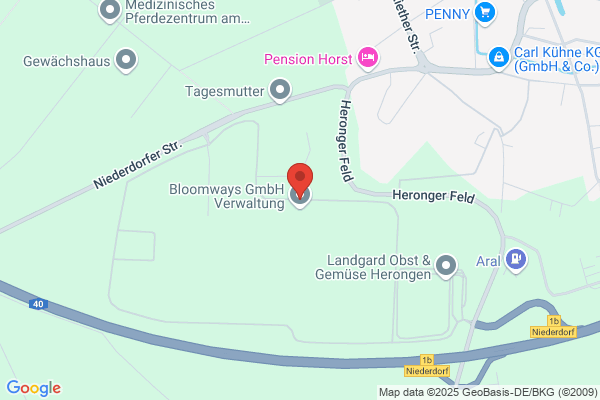 HBH Holsteiner Blumengroßhandel GmbH & Co. KG