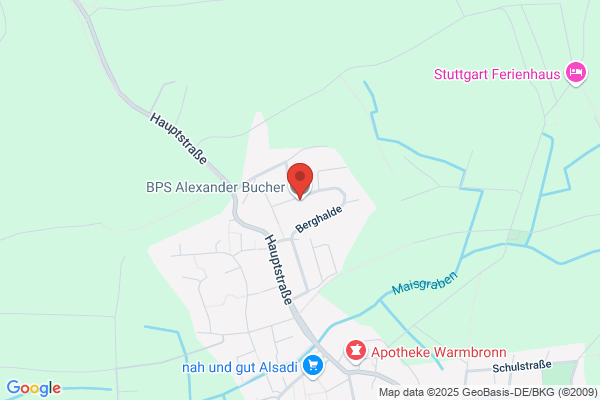 BPS Bucher GmbH