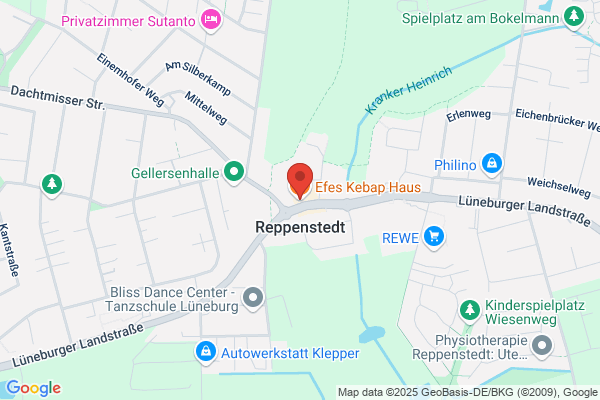 Efes Kebap Haus