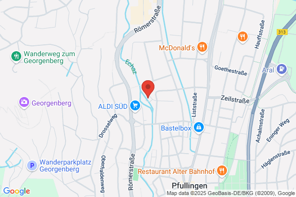 Kinesiologie für Mensch und Tier