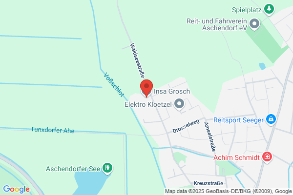 Insa Grosch