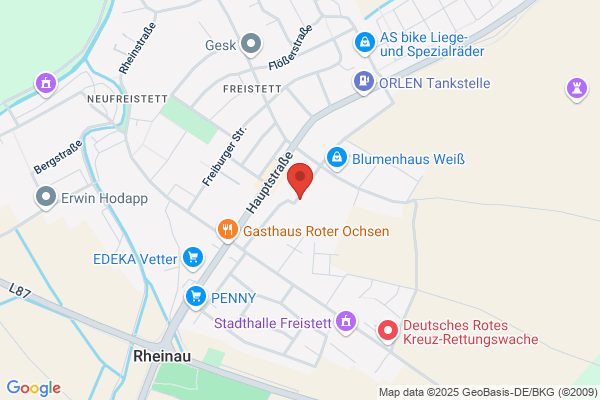 Rheinau-Data GmbH