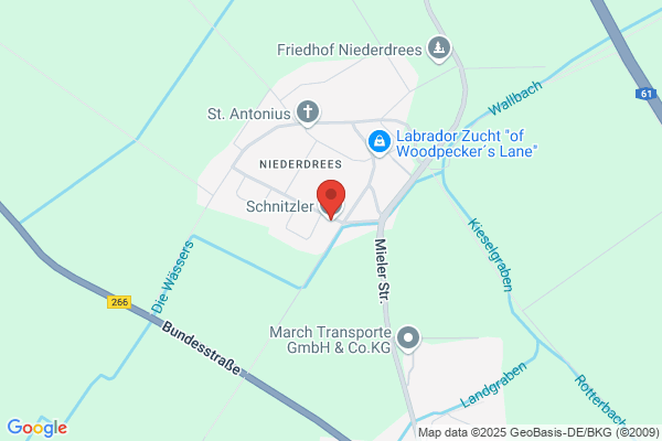 Schnitzler