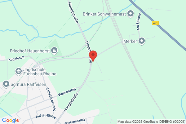 Auto Holländer GmbH