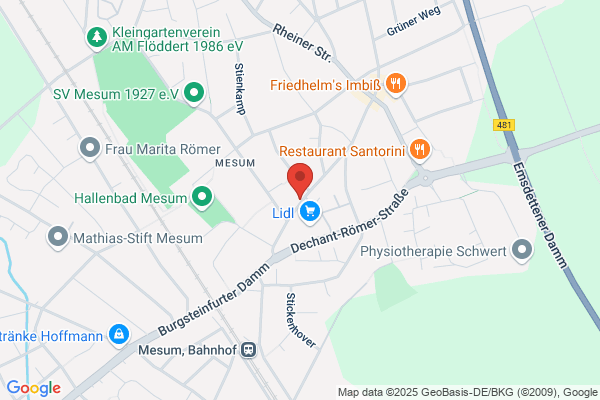 Bruning Thomas Der Fietzenflicker