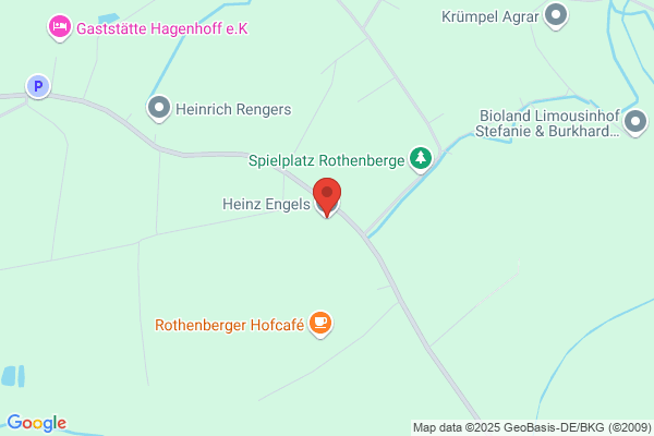 Heinz Engels
