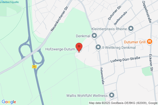Hofzwerge-Dutum
