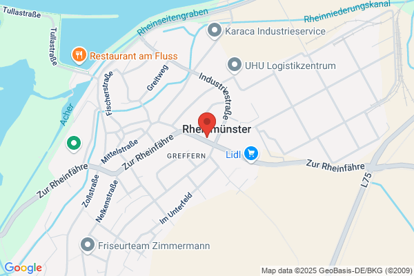 Auto Engel