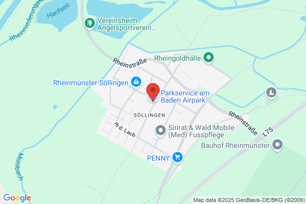Parkservice am Baden Airpark
