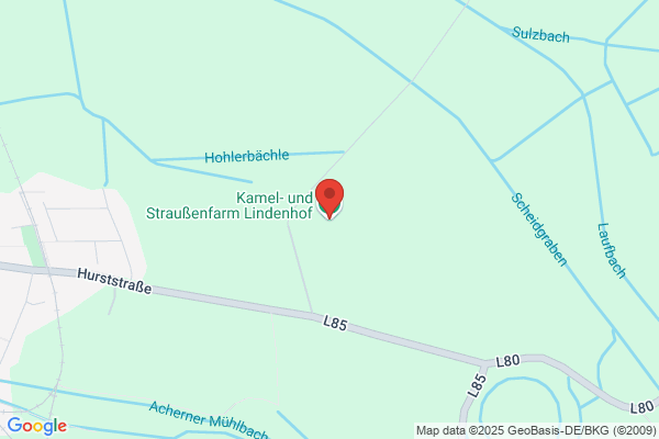Straußenfarm Zimmer Rudi