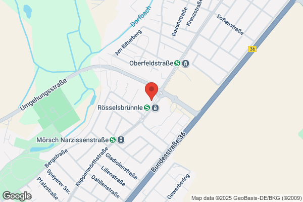MS Hausverwaltung GmbH