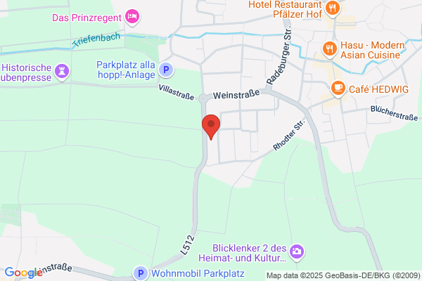 PalatinaBus GmbH