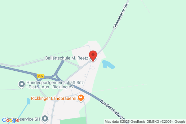Ballettschule M. Reetz