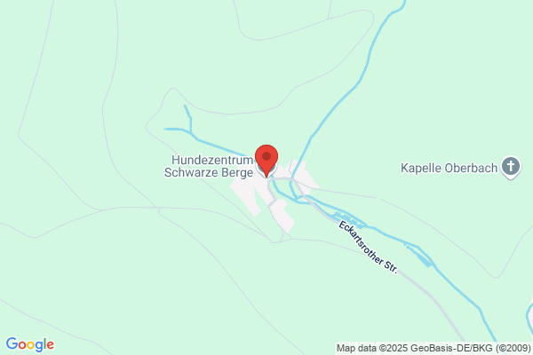 Hundeschule Schwarze Berge