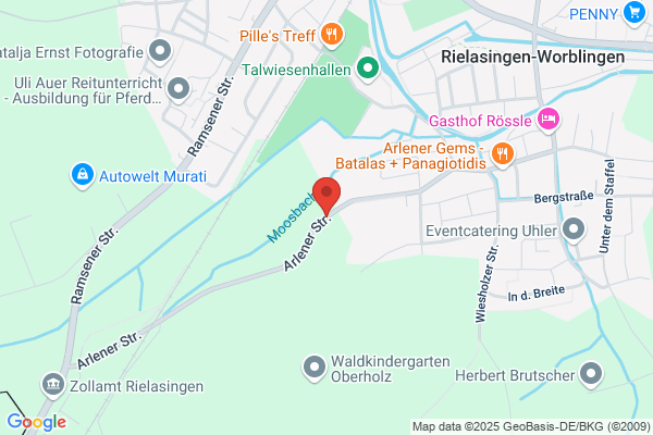 Alarmanlagen, Absicherungen aller Art, Video, Notrufzentrale Remus Tag+Nacht e.K