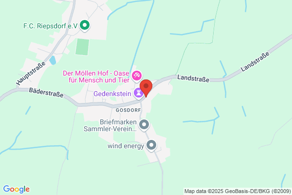 Network GmbH