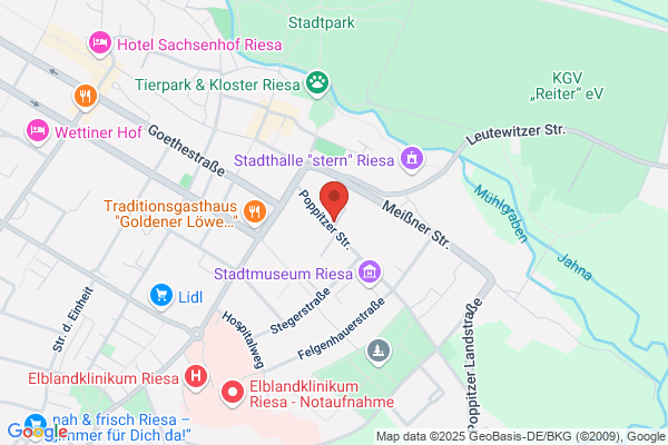 Hundesalon Bräuner