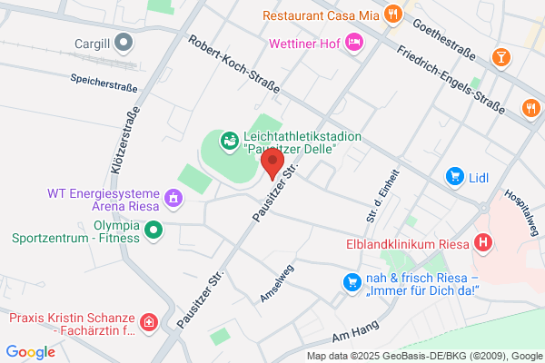 Pizza Land