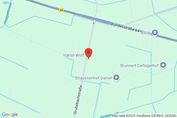 Wolf Härtel