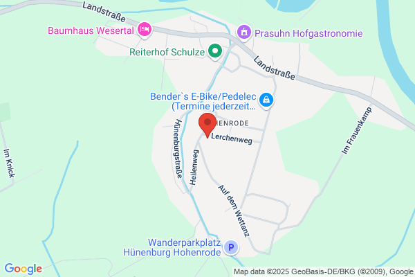 Baumfällungen Wolter
