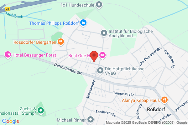 DHG Dümig Handels GmbH