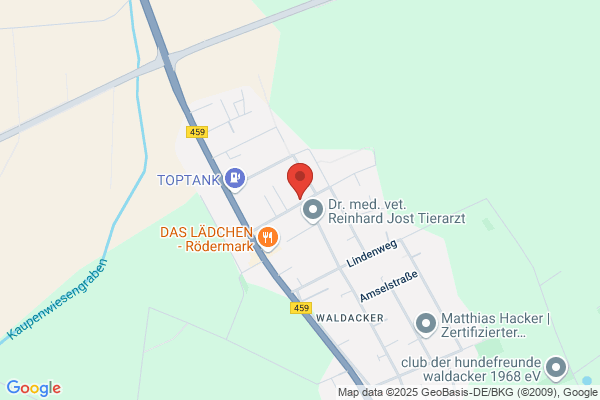 Savinius UG (haftungsbeschränkt)