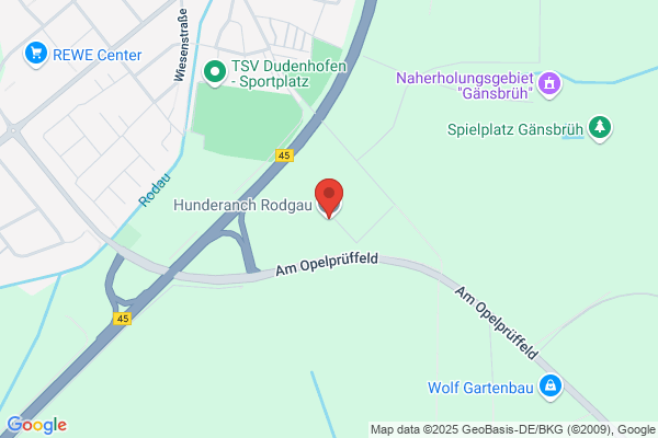 Hundetreff-Rodgau