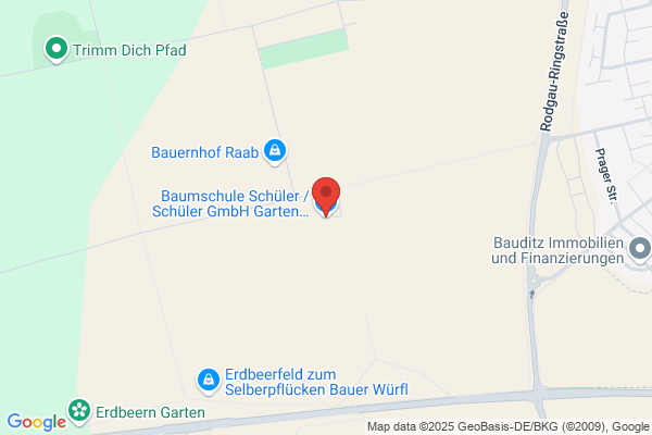 Schüler