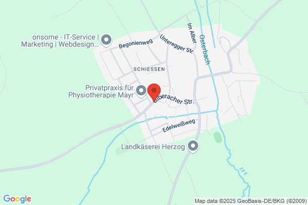 Friseur Carmens`s Schnittstelle