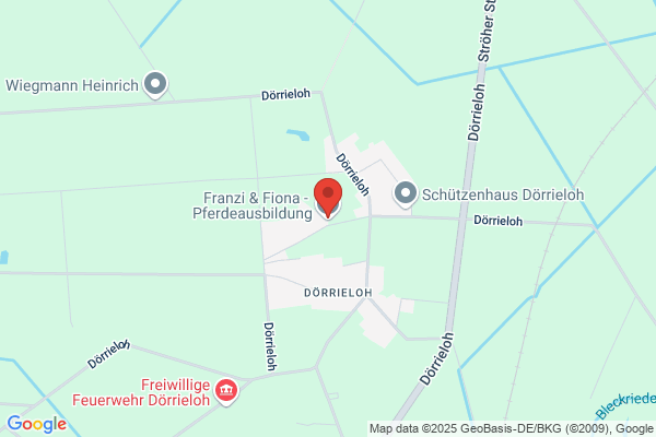 Pferdeheilkunde Franzi
