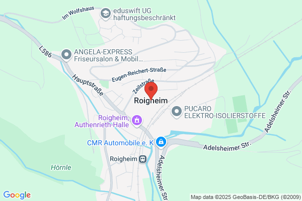 Aldinger