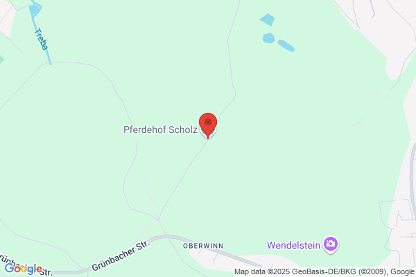 Scholz