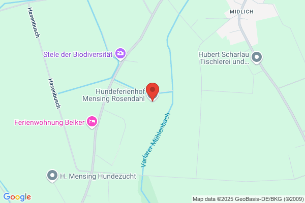 Mensing Hundeferienhof