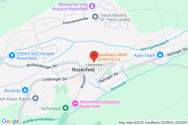 Allianz Versicherung Bisinger und Zitzer OHG Generalvertretung
