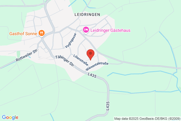 Logopädiepraxis Schmid