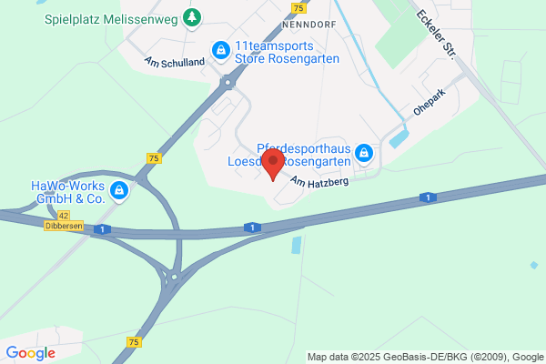 Pipo Torservice GmbH