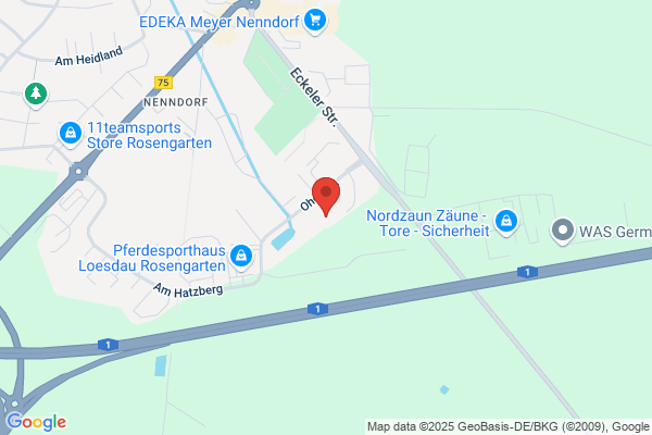 Thede + Neubauer GmbH