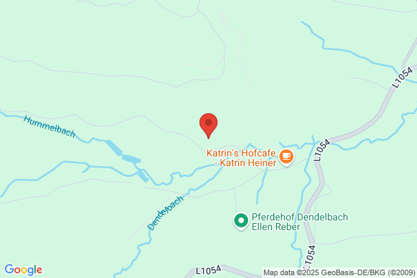 Pferdehof Dendelbach Ellen Reber