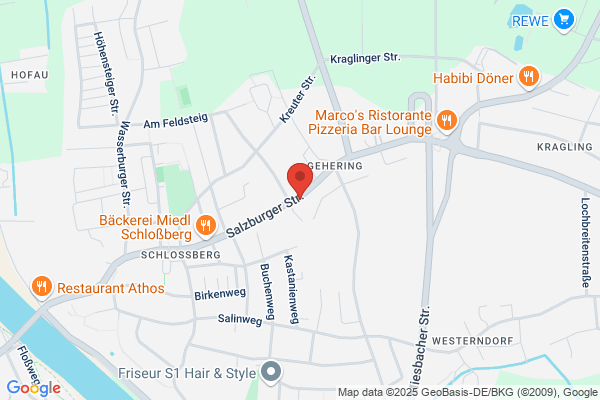 Zahn Antiquitäten (Sbg)