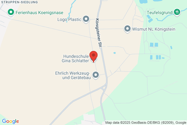 Hundeschule Gina Schlatter