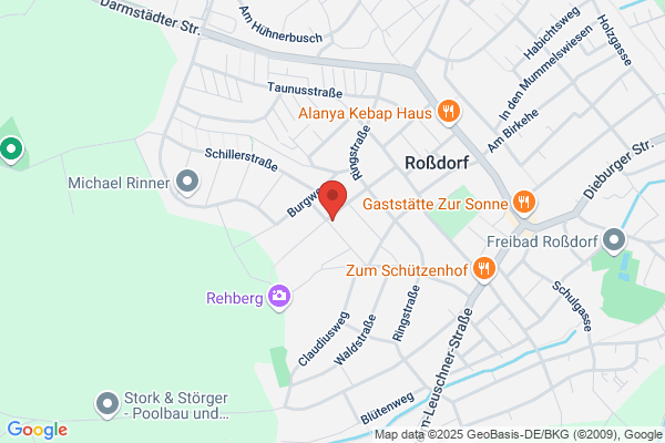 Rehberg Consulting GmbH