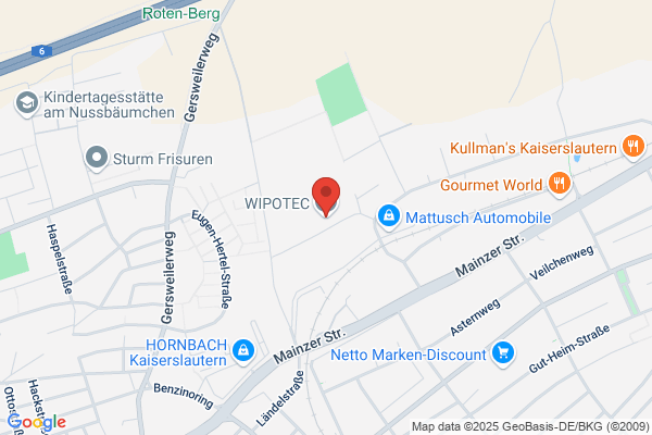 Wipotec Wiege-