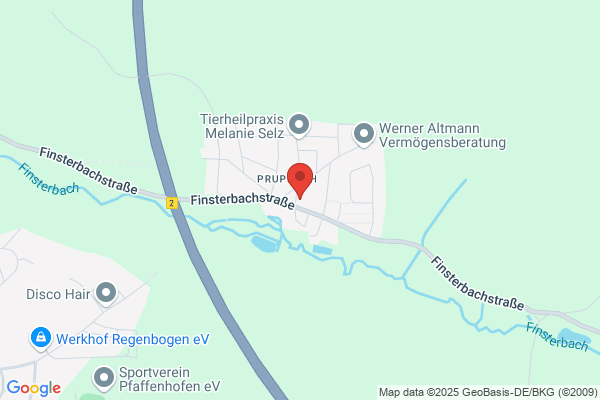 Vivace Matthias Dannhorn