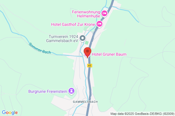 Hotel Grüner Baum