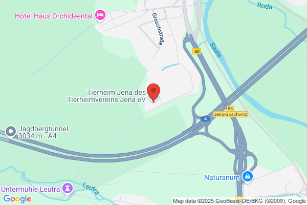 Tierheimverein Jena e.V.