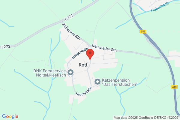 Runden.NET