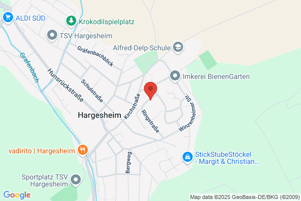 Wirz Taxiunternehmer